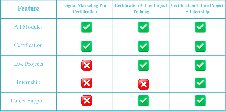 certification + live project training